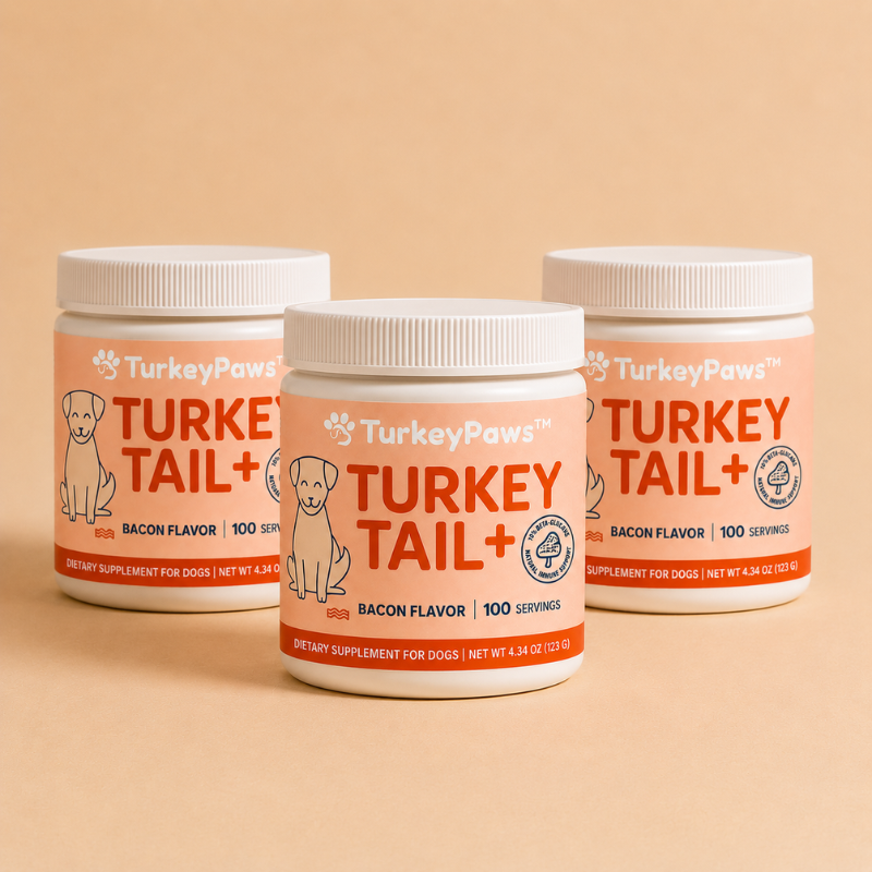 TurkeyPaws