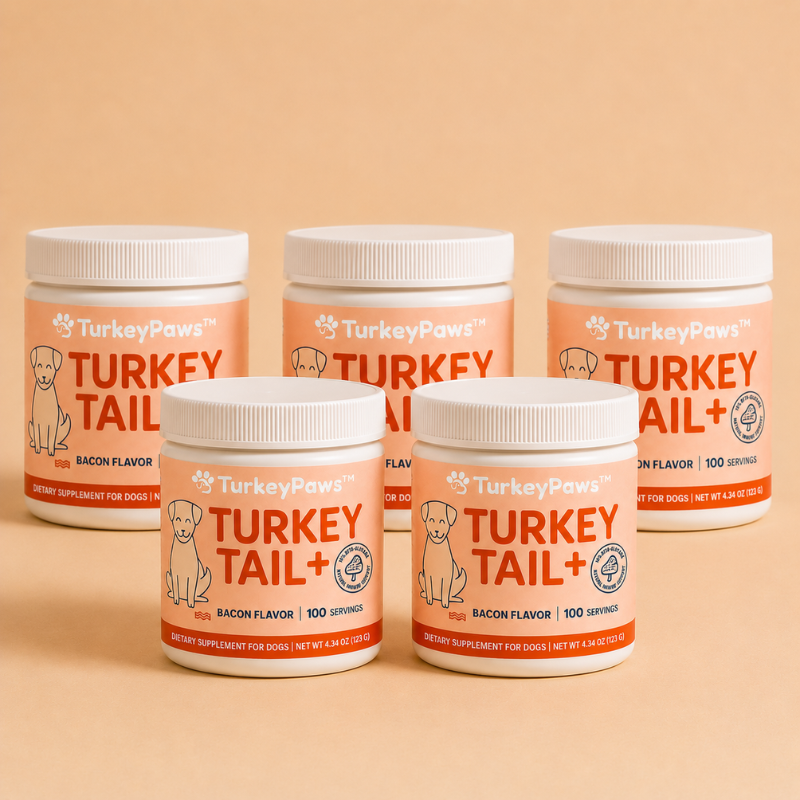 TurkeyPaws