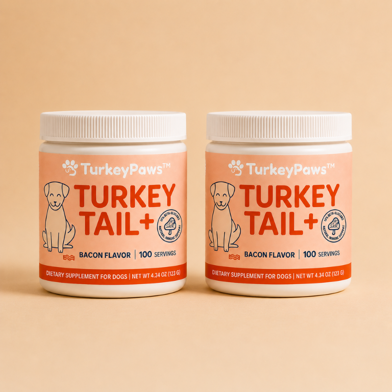 TurkeyPaws